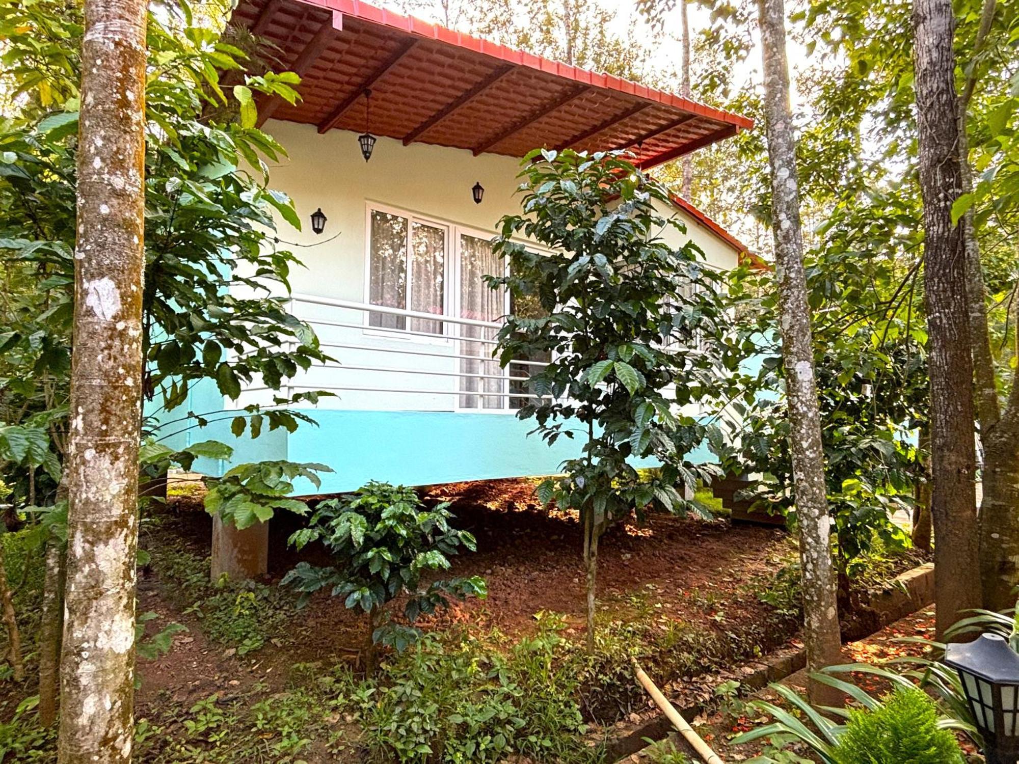 Ecstasy Tent Stay With Swimming Pool & Common Washroom Chikmagalūr エクステリア 写真